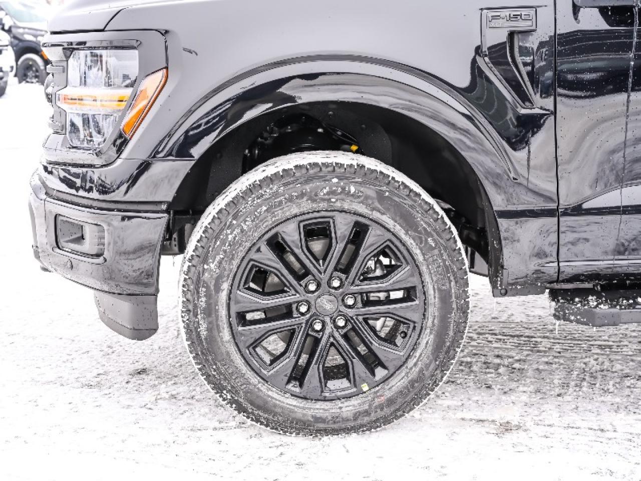 2025 Ford F-150 XLT Photo