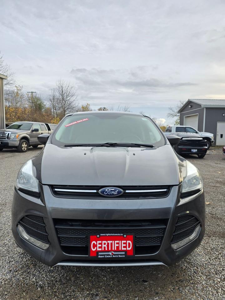 2016 Ford Escape 4WD 4dr SE - Photo #10