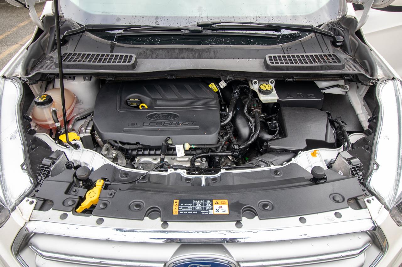 2017 Ford Escape SE Photo5