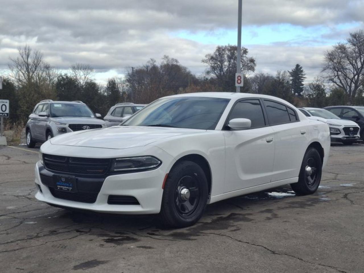 Used 2020 Dodge Charger R/T | Hemi | Power Seat | CarPlay + Android | Remote Start | Tint | Rear Cam & More ! for sale in Guelph, ON