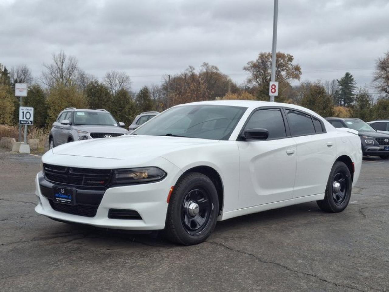 Used 2020 Dodge Charger R/T | Hemi | Power Seat | CarPlay + Android | Remote Start | Tint | Rear Cam & More ! for sale in Guelph, ON