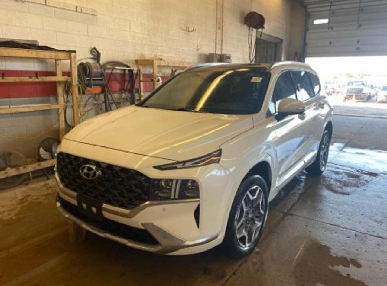 Used 2021 Hyundai Santa Fe Ultimate Calligraphy AWD | Leather | Pano Roof | Heated + Ventilated Seats | Heated Steering & More! for sale in Guelph, ON