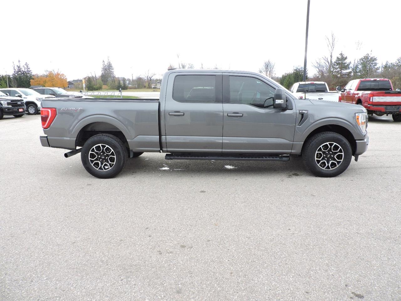 2021 Ford F-150 XLT/Sport 3.5L 4X4 6 1/2-Foot Box New Tires Photo3