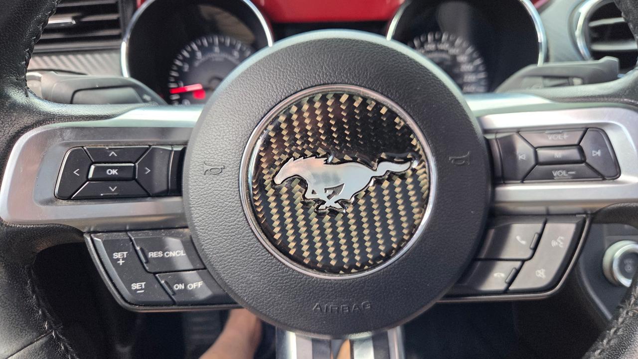 2017 Ford Mustang V6 - Photo #14