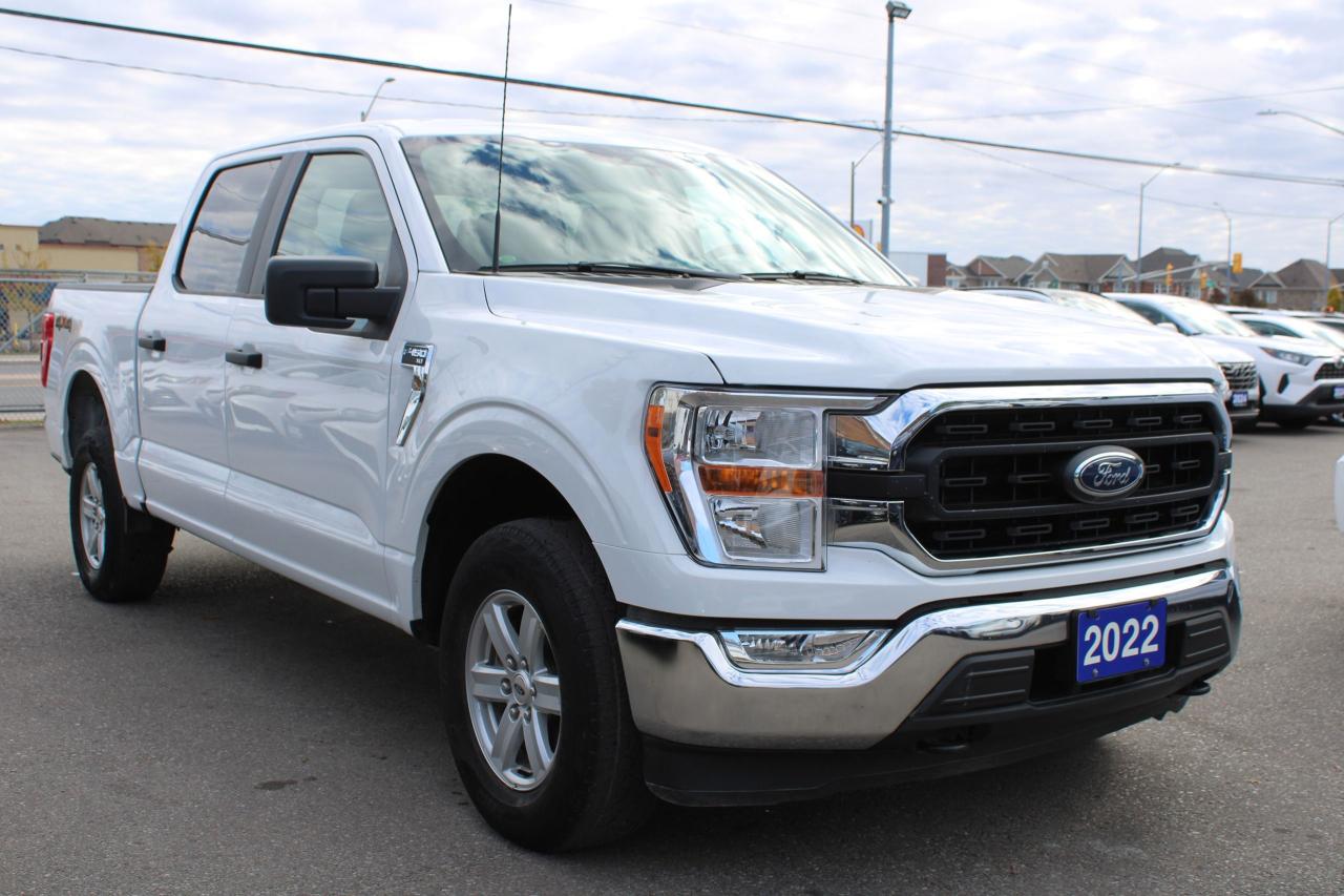 Used 2022 Ford F-150 XL for sale in Brampton, ON