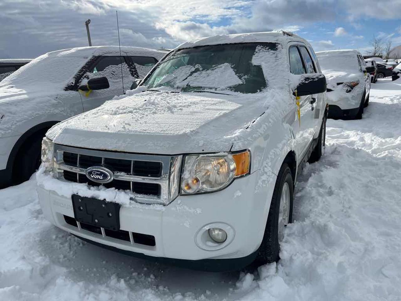 2012 Ford Escape XLT Photo