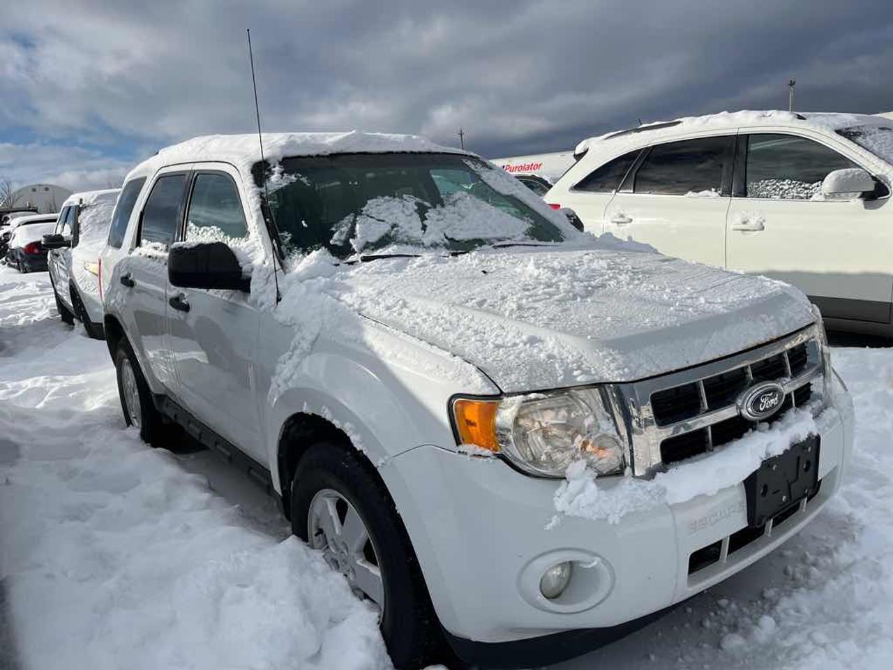 2012 Ford Escape XLT Photo2