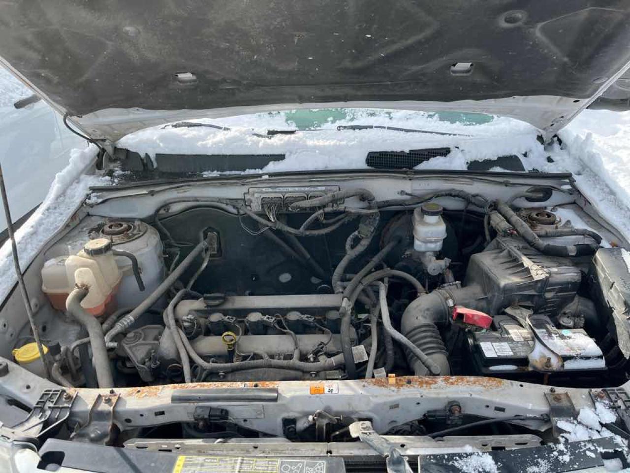 2012 Ford Escape XLT Photo