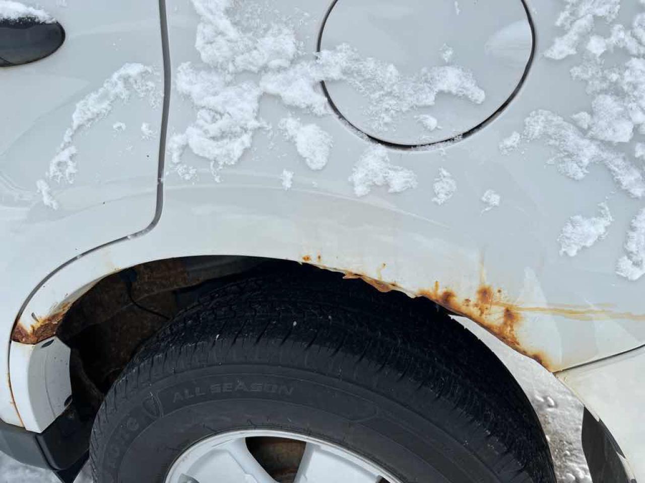 2012 Ford Escape XLT Photo