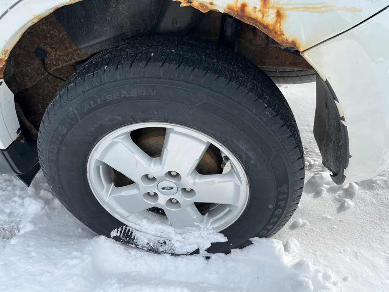 2012 Ford Escape XLT Photo