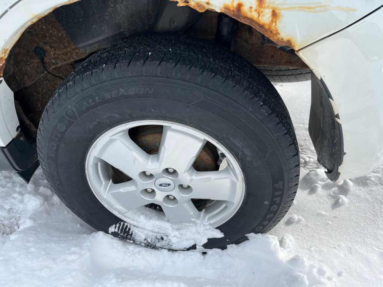 2012 Ford Escape XLT Photo