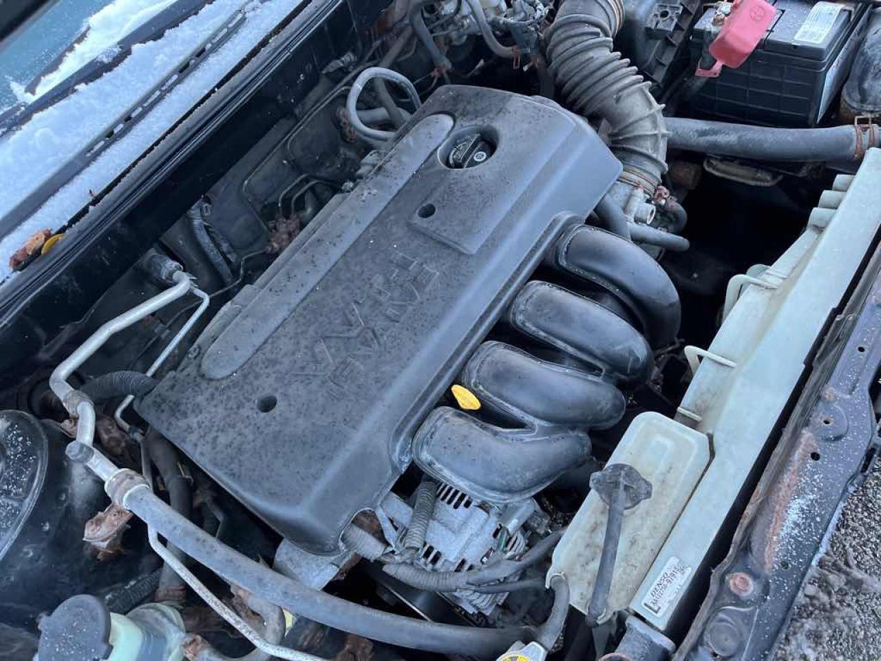 2008 Toyota Corolla LE Photo