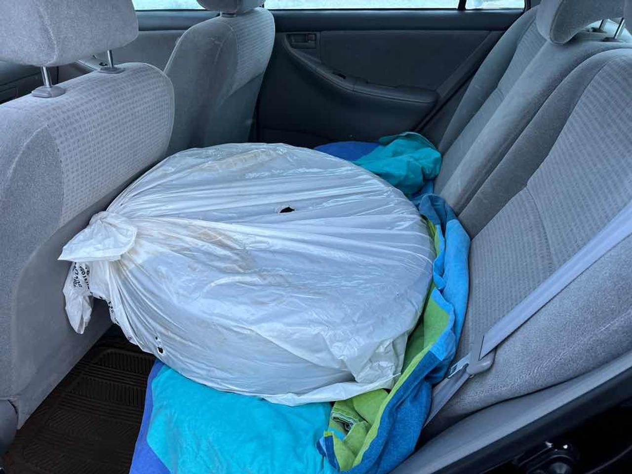 2008 Toyota Corolla LE Photo