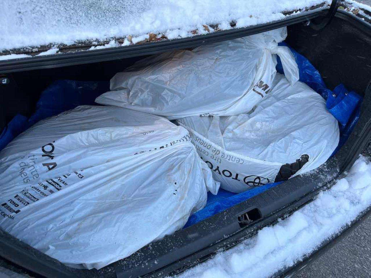 2008 Toyota Corolla LE Photo