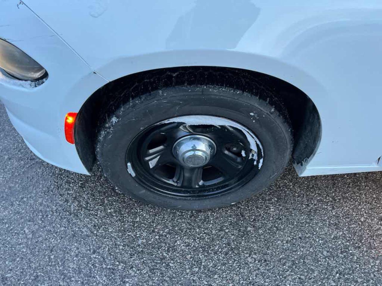 2019 Dodge Charger Police - Photo #14