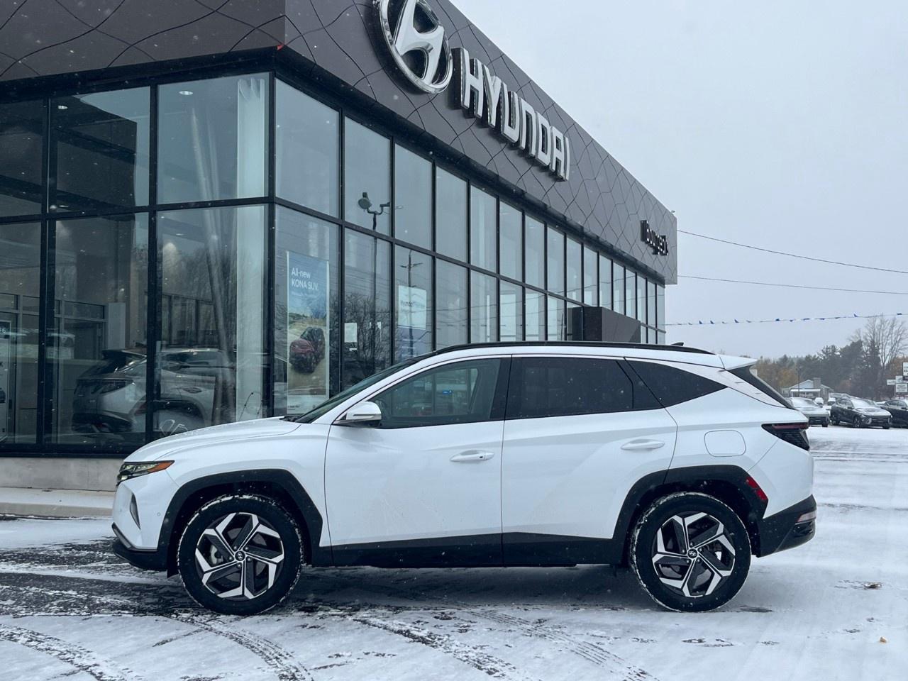 2024 Hyundai Tucson Hybrid Ultimate AWD Photo2