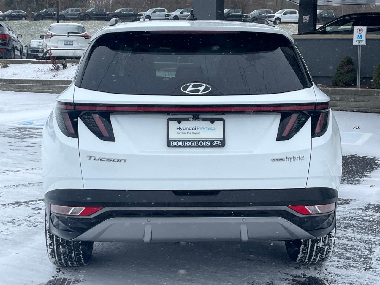 2024 Hyundai Tucson Hybrid Ultimate AWD Photo