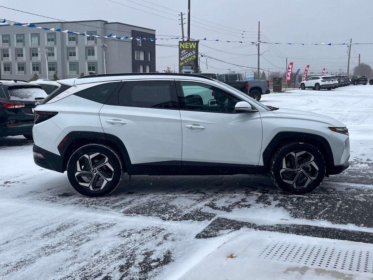 2024 Hyundai Tucson Hybrid Ultimate AWD Photo