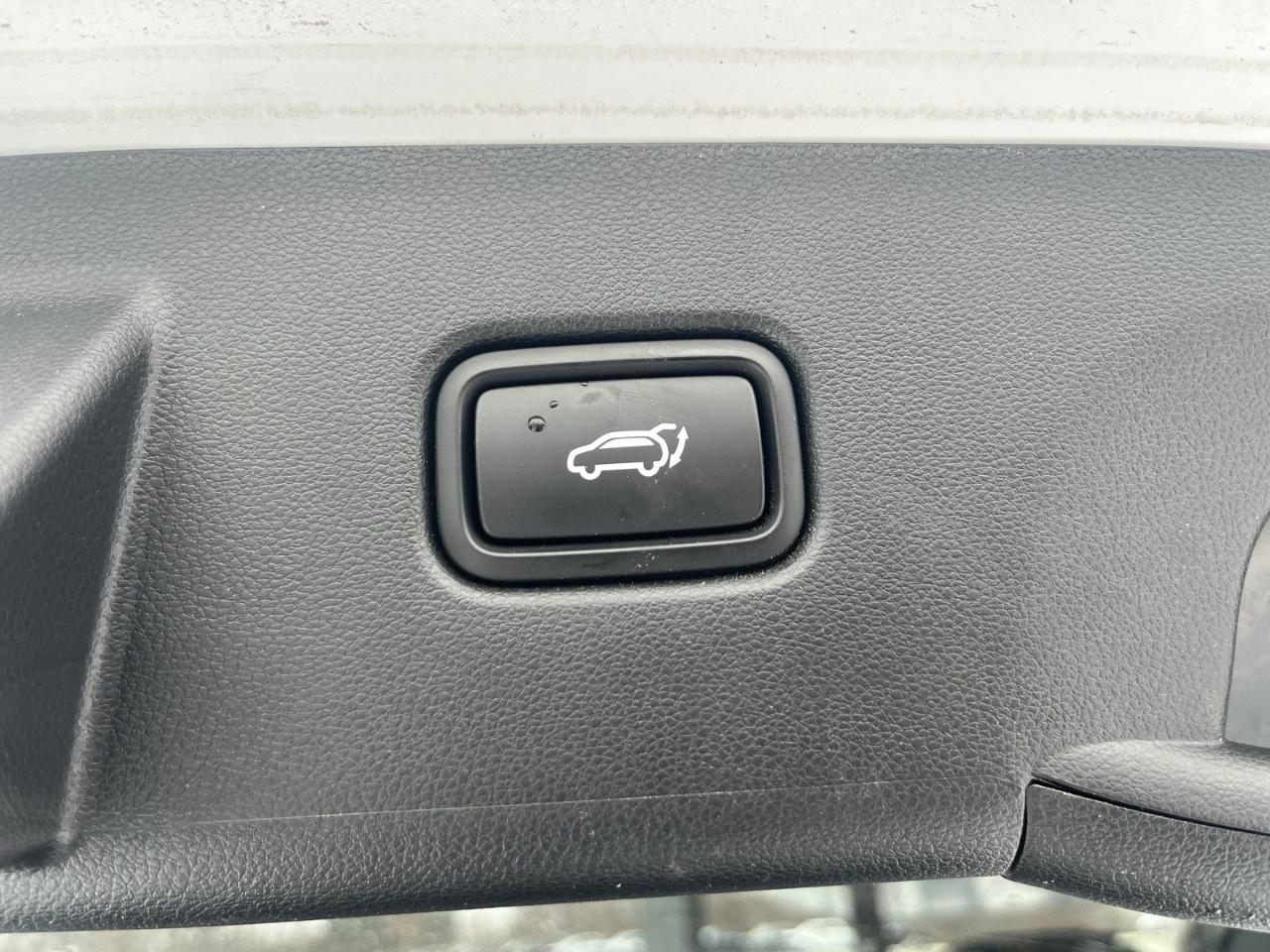 2024 Hyundai Tucson Hybrid Ultimate AWD Photo