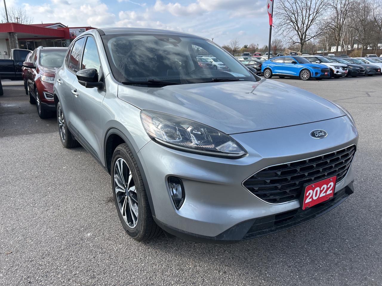 2022 Ford Escape SEL STEALTH, 2.0L, REMOTE START, CLEAN CARFAX! - Photo #4