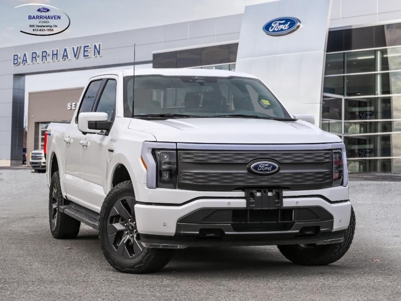 2022 Ford F-150 Lightning Pro Photo0