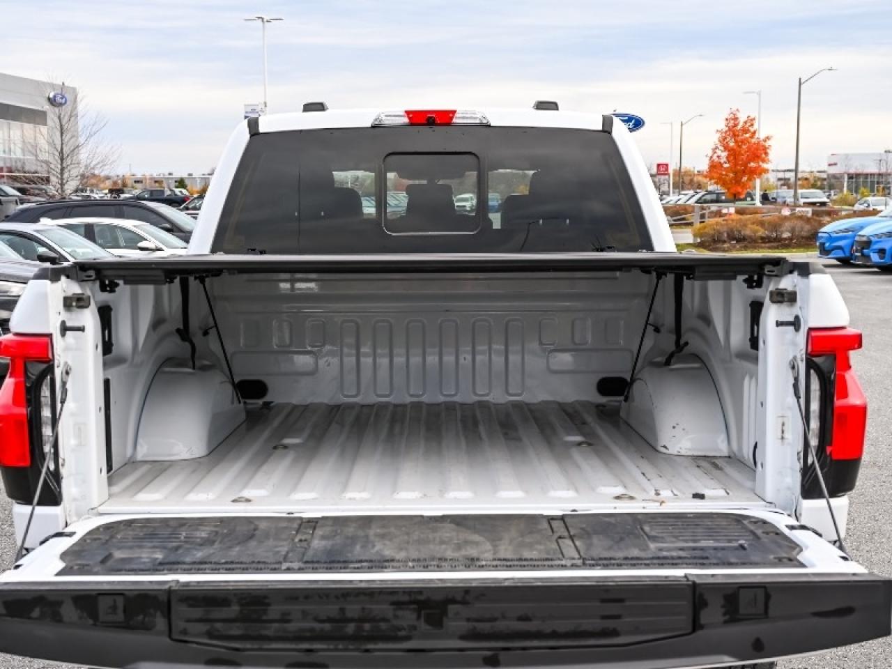 2022 Ford F-150 Lightning Pro Photo