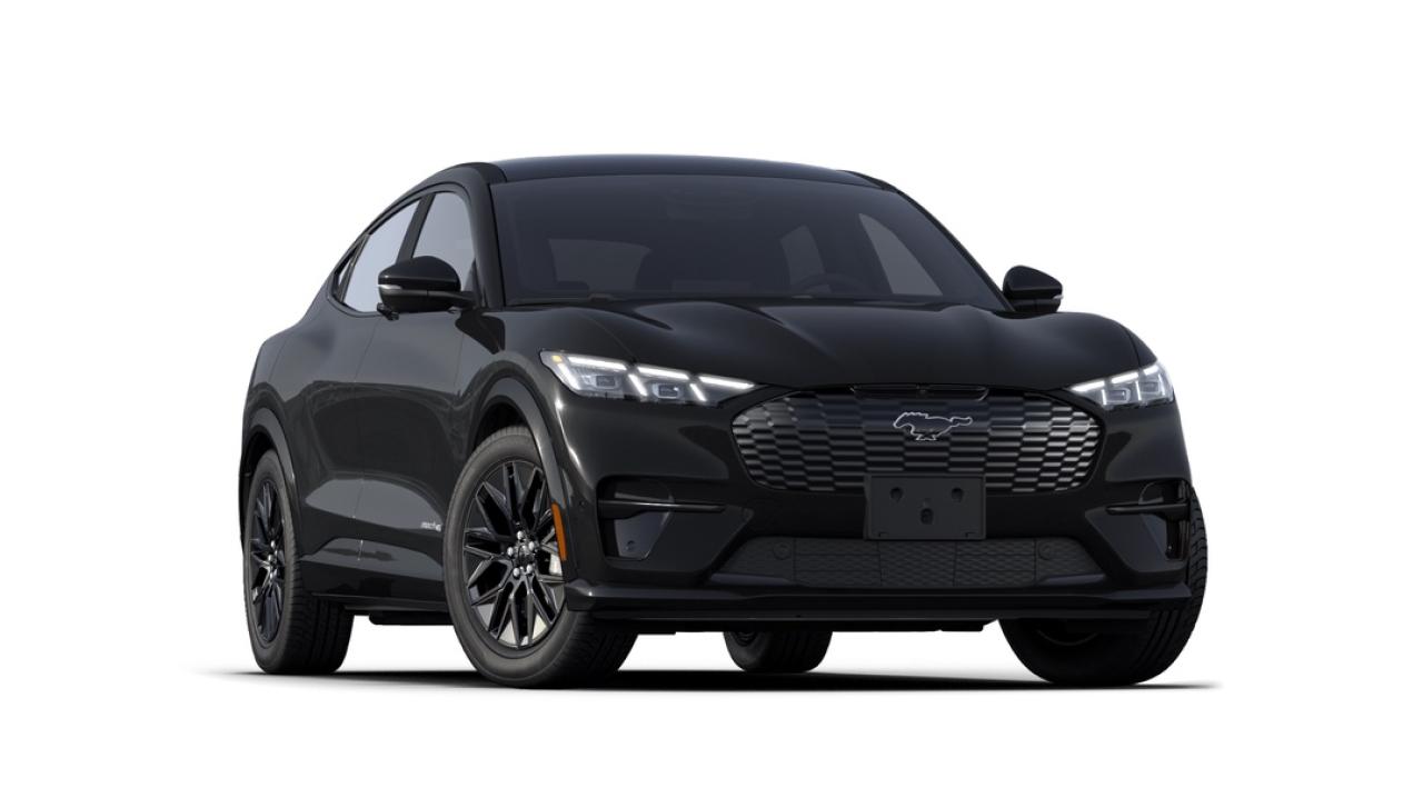 2025 Ford Mustang Mach-E Premium Photo3