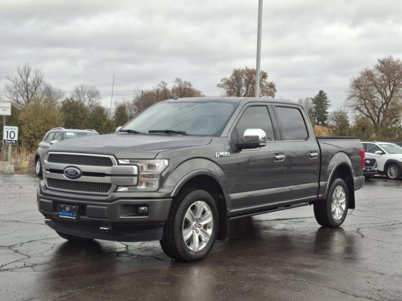 Used 2019 Ford F-150 Platinum 4X4 | Crew | Leather | Pano Roof | 360 Camera | Adaptive Cruise | Tow Pkg | and Much More ! for sale in Guelph, ON