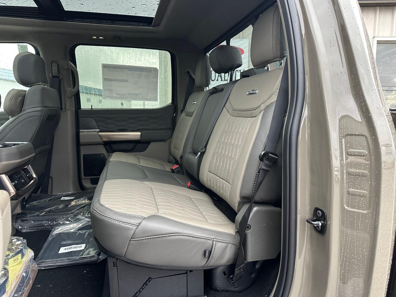 2026 Ford F-250 Super Duty SRW PLATINUM 4WD CREW CAB 6.75' BOX Photo