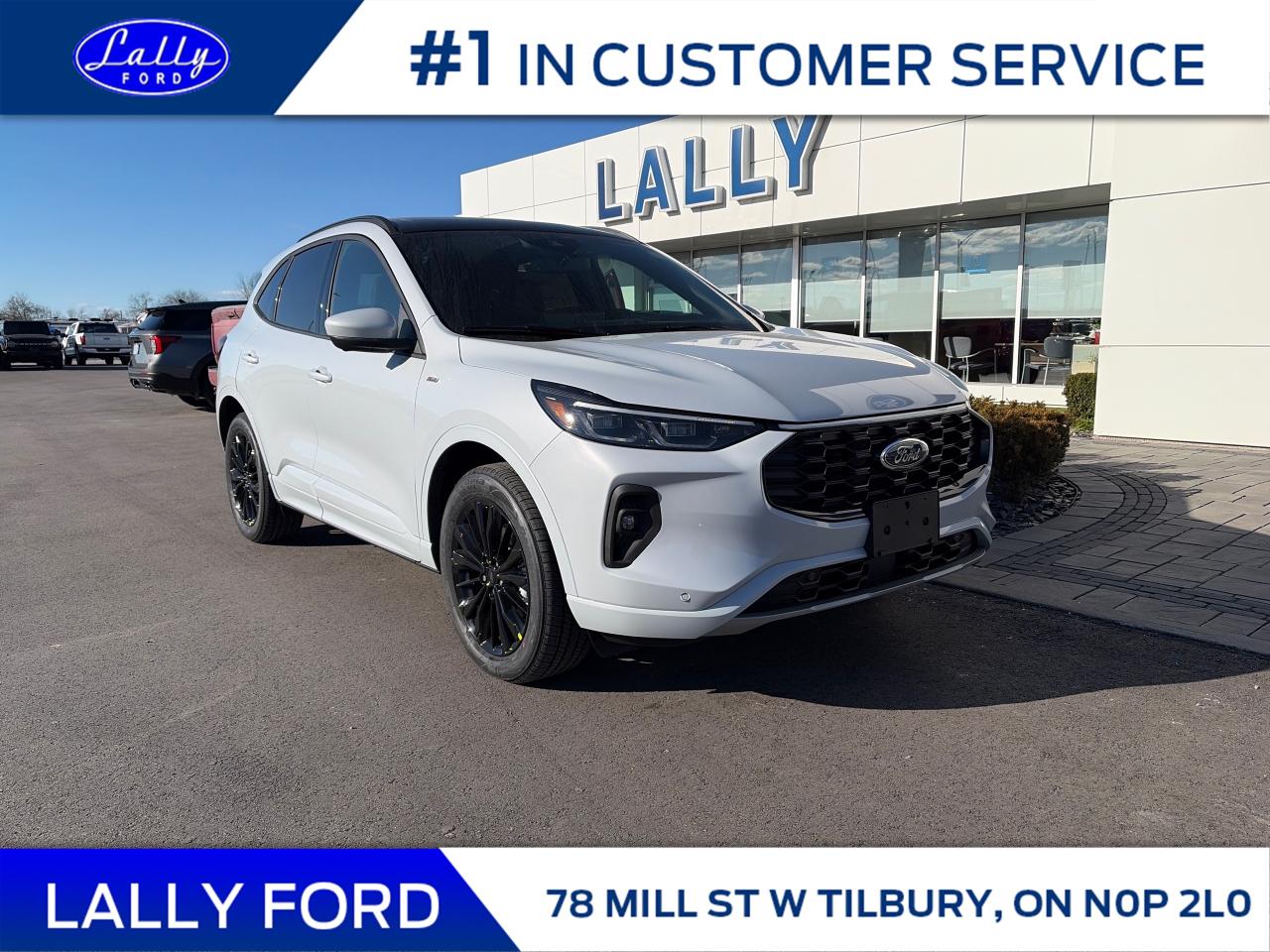 New 2026 Ford Escape ST-Line Elite for sale in Tilbury, ON