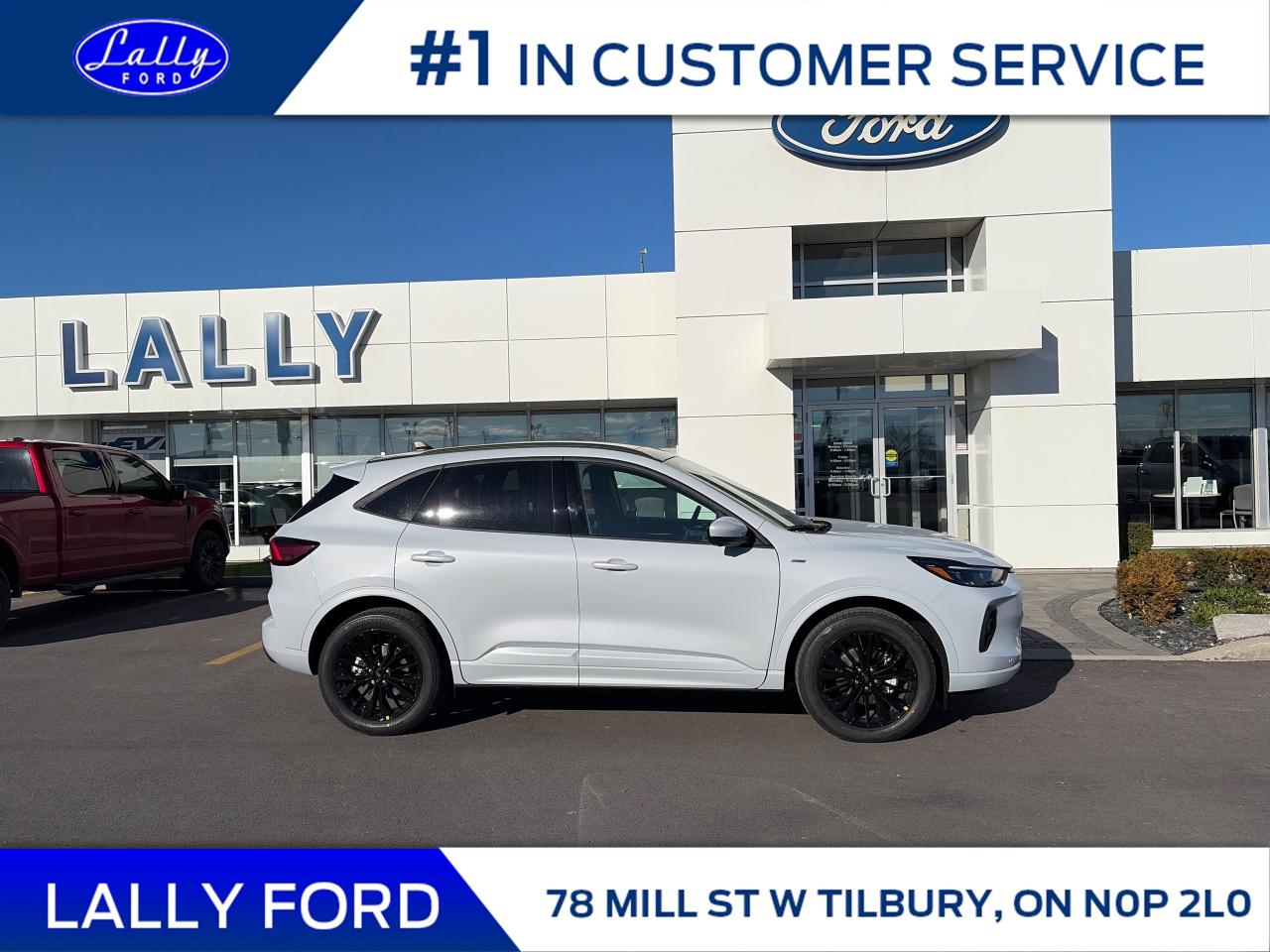 2026 Ford Escape ST-Line Elite Photo