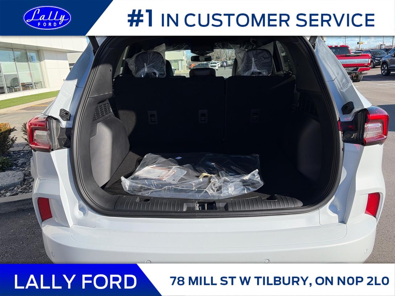 2026 Ford Escape ST-Line Elite Photo4