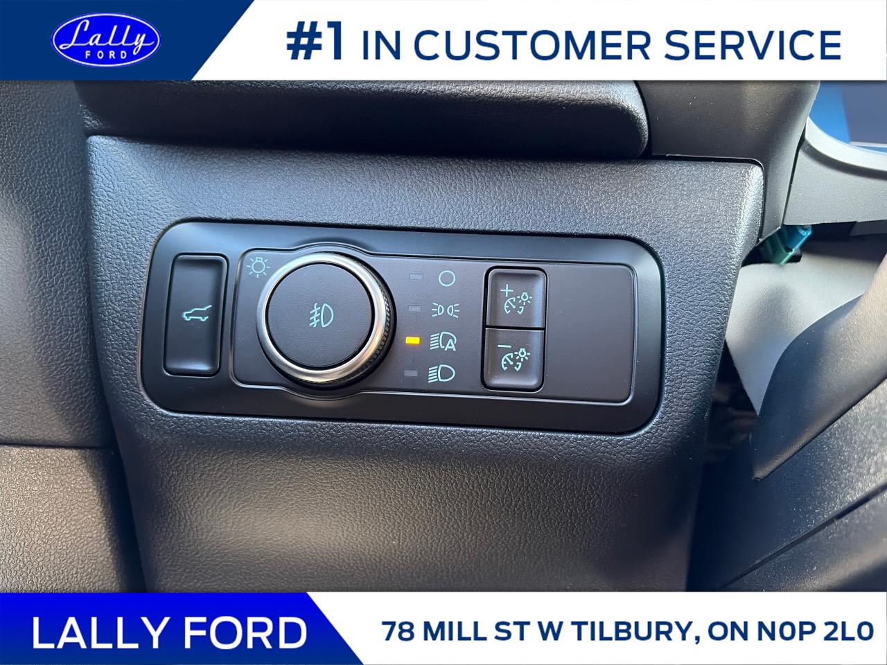 2026 Ford Escape ST-Line Elite Photo