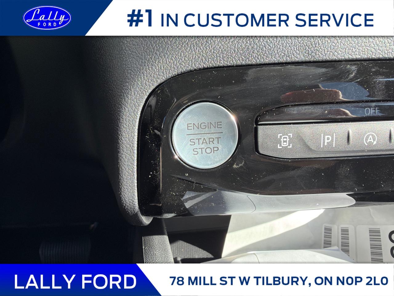 2026 Ford Escape ST-Line Elite Photo