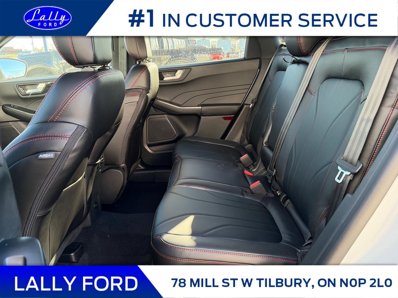 2026 Ford Escape ST-Line Elite Photo