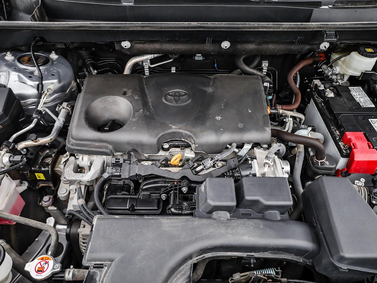 2024 Toyota RAV4 LE Photo4