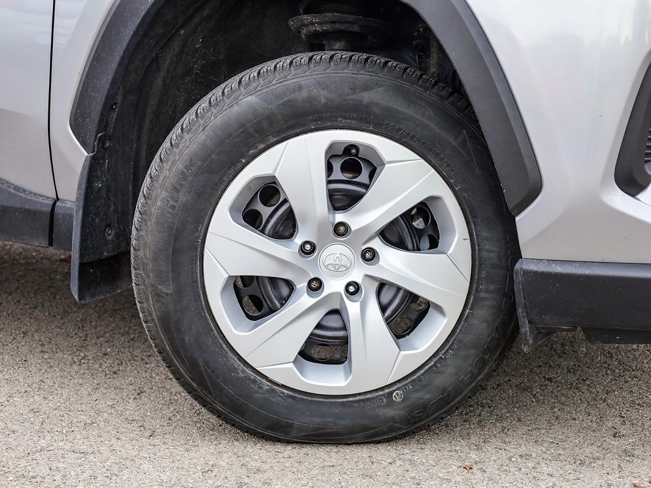 2024 Toyota RAV4 LE Photo