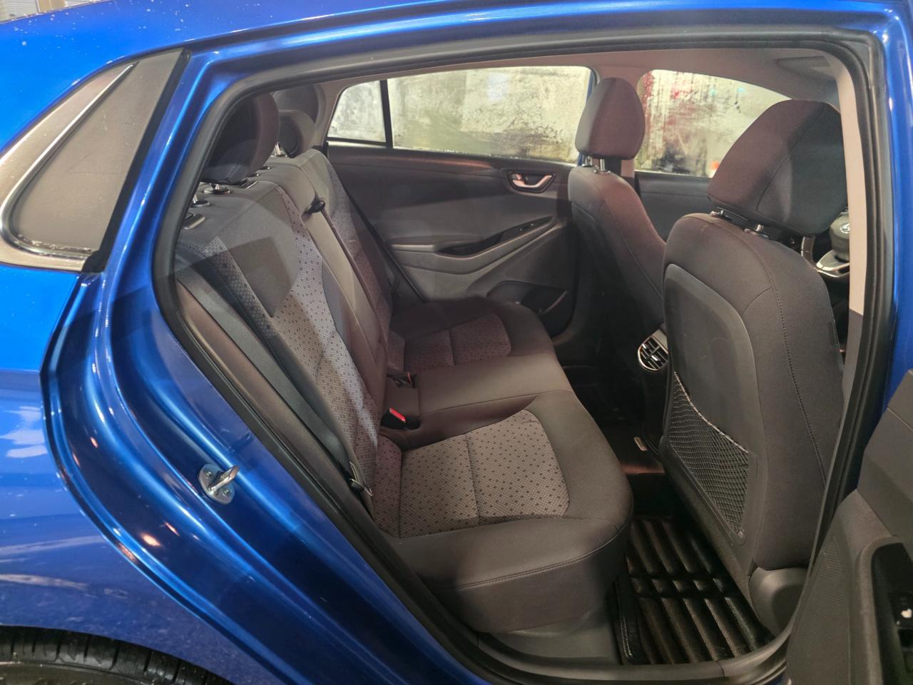 2018 Hyundai IONIQ EV Limited NAVI | BSM | Premium Audio | Backup Camera Photo