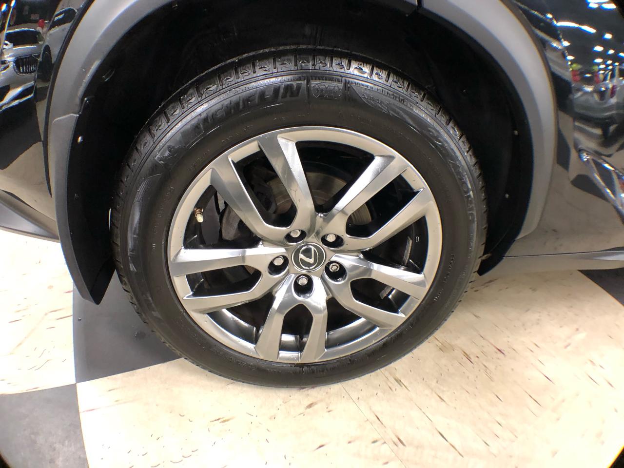 2019 Lexus NX 300 AWD LEATHER SUNROOF A/CARPLAY B/SPOT CAMERA Photo