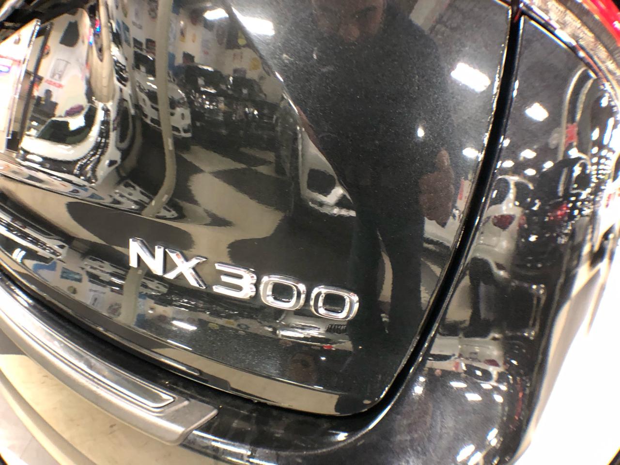 2019 Lexus NX 300 AWD LEATHER SUNROOF A/CARPLAY B/SPOT CAMERA Photo