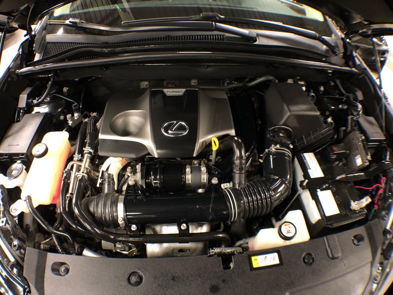 2019 Lexus NX 300 AWD LEATHER SUNROOF A/CARPLAY B/SPOT CAMERA Photo