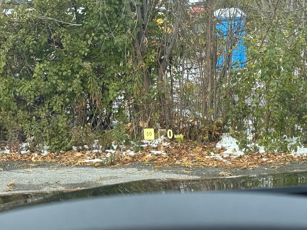 2017 BMW X5 xDrive35i *CLEAN CARFAX*DEALER SERV*SAFETY INCL* - Photo #7