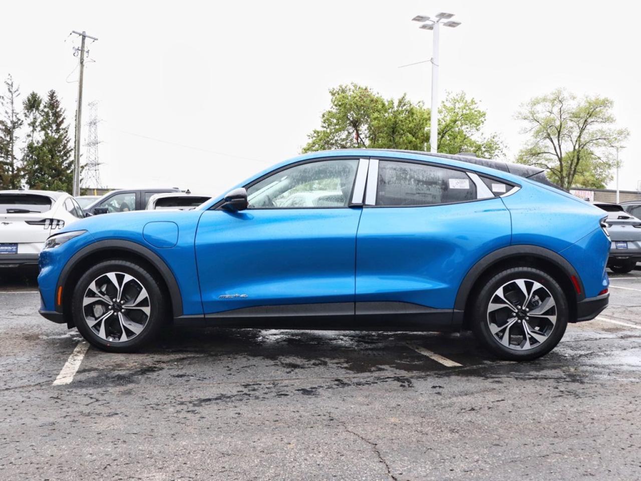 2025 Ford Mustang Mach-E Select | AWD | EXT BAT | COMF PKG | MB PWR CORD Photo