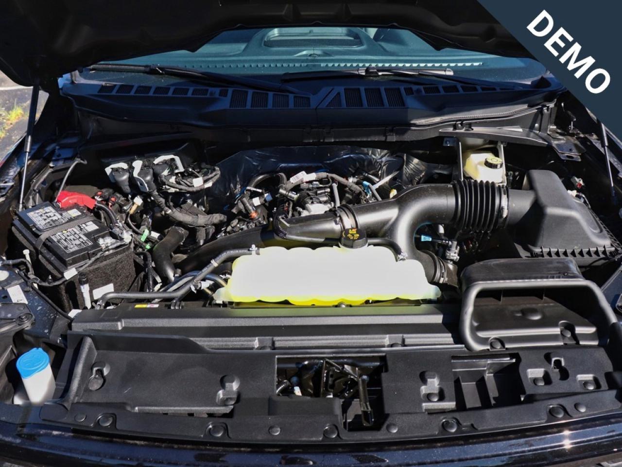 2025 Ford F-150 XLT | 4X4 | 2.7L | 303A | BLK PK PLS | ROOF | 20s Photo