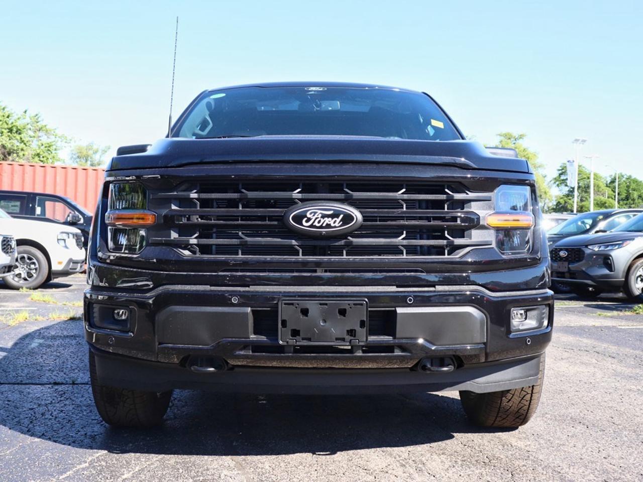 2025 Ford F-150 XLT | 4X4 | 2.7L | 303A | BLK PK PLS | ROOF | 20s Photo