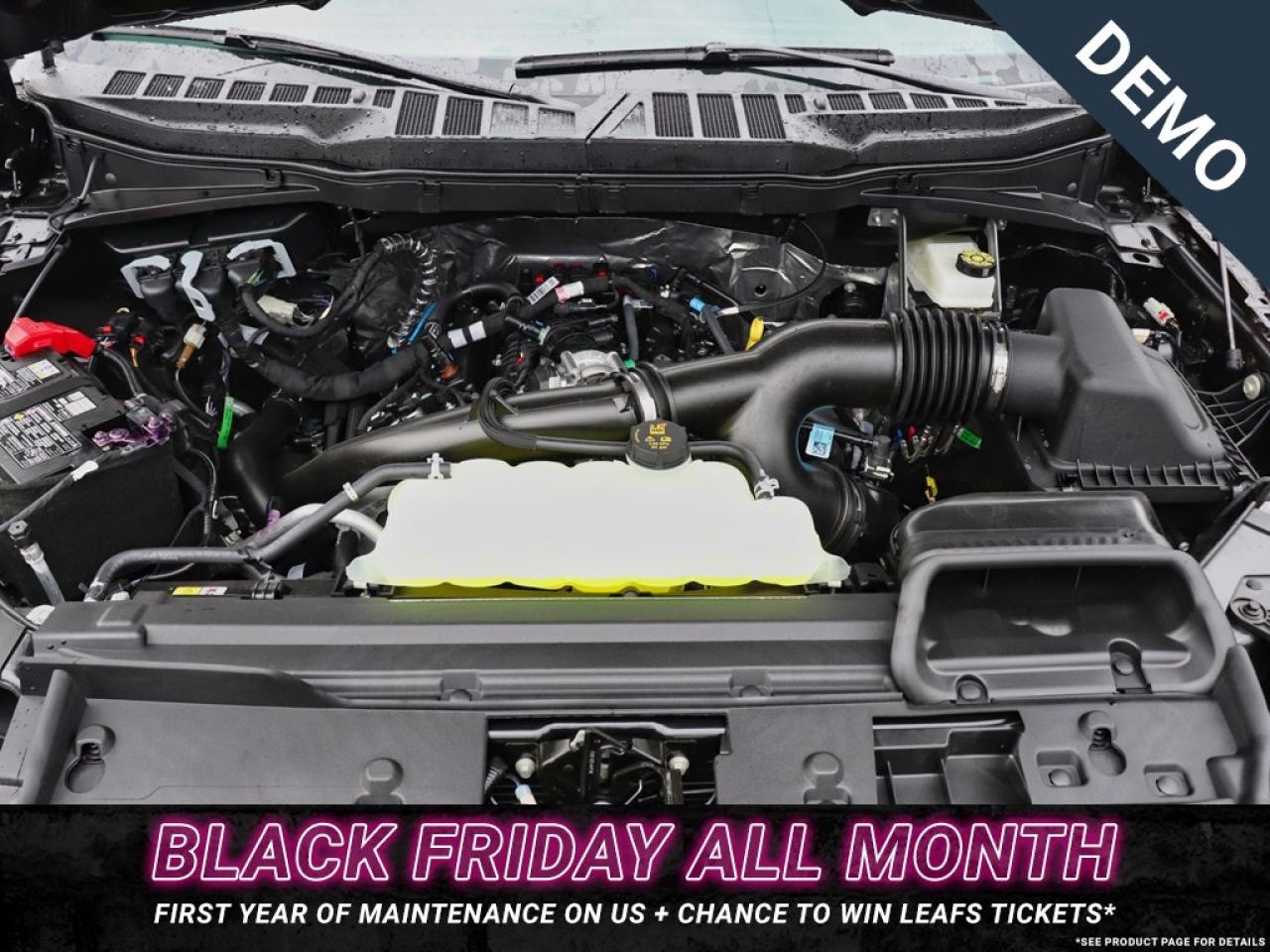 2025 Ford F-150 XLT | 4X4 | 2.7L | 303A| BLK PK PLS |ROOF | BD UTL Photo