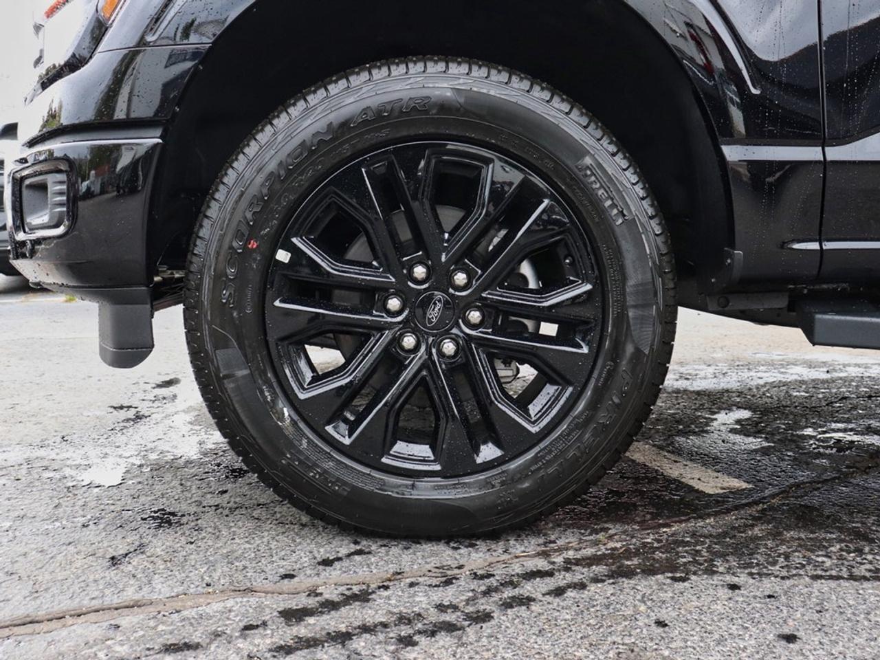 2025 Ford F-150 XLT | 4X4 | 2.7L | 303A| BLK PK PLS |ROOF | BD UTL Photo