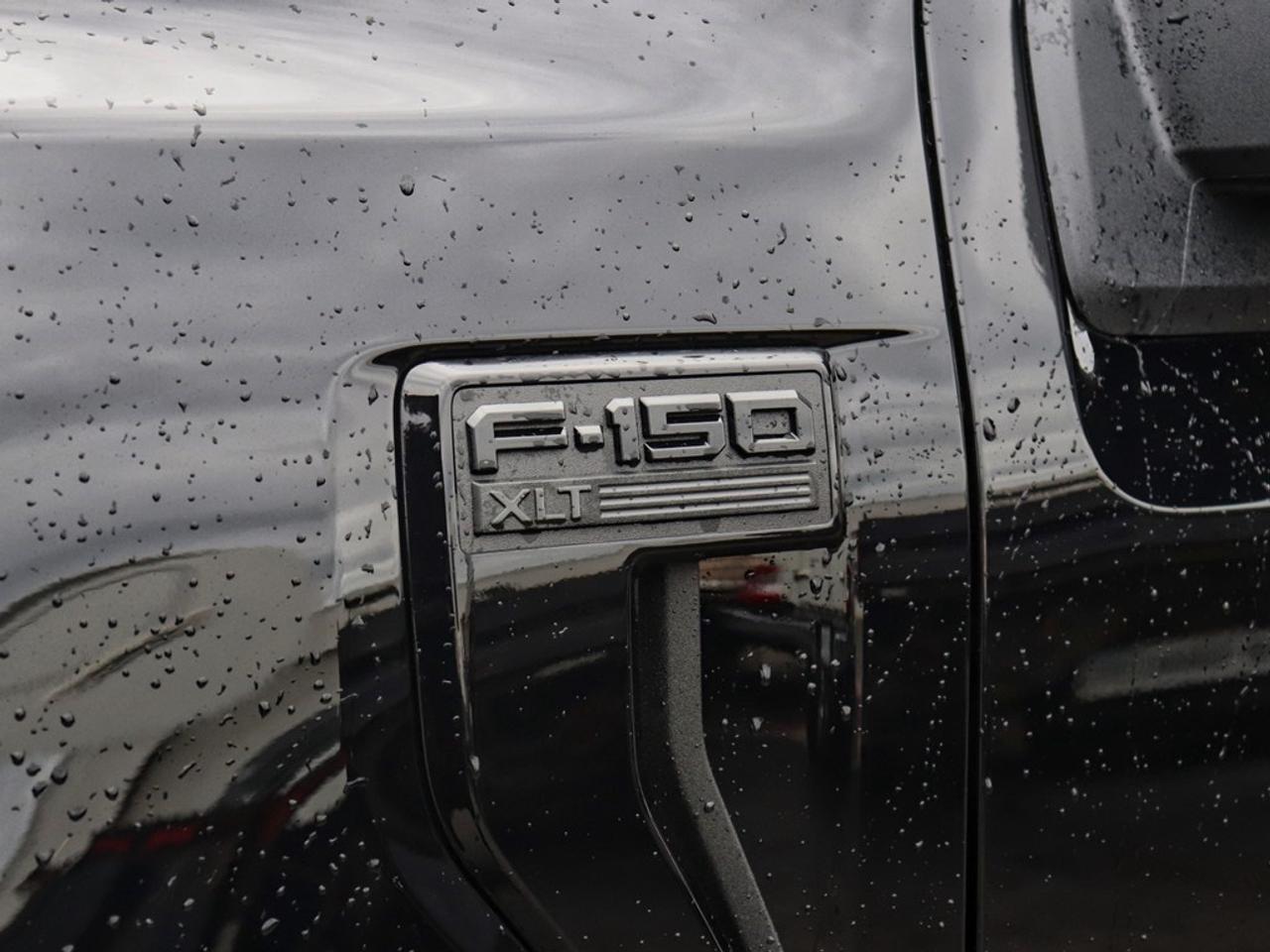 2025 Ford F-150 XLT | 4X4 | 2.7L | 303A| BLK PK PLS |ROOF | BD UTL Photo