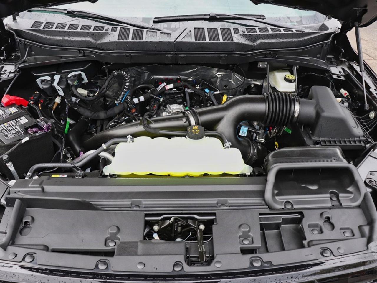 2025 Ford F-150 XLT | 4X4 | 2.7L | 303A| BLK PK PLS |ROOF | BD UTL Photo