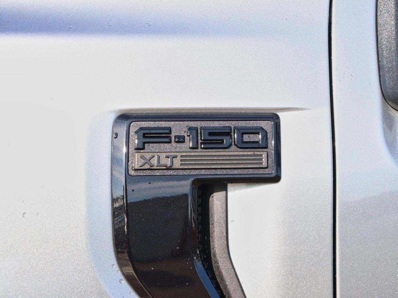 2025 Ford F-150 XLT | 4X4 | 2.7L | 302A | BLK PKG PLS | 360 | 20s Photo